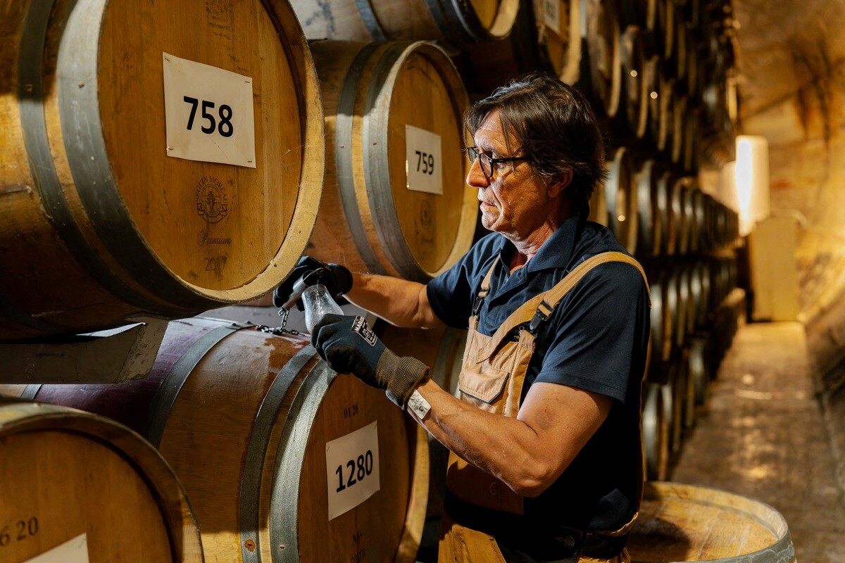 À Bordeaux, ils refont vivre cette "liqueur emblématique de la région" après 40 ans d'absence