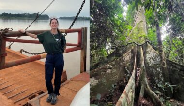 Morgann' est partie au Congo pour lutter contre la déforestation