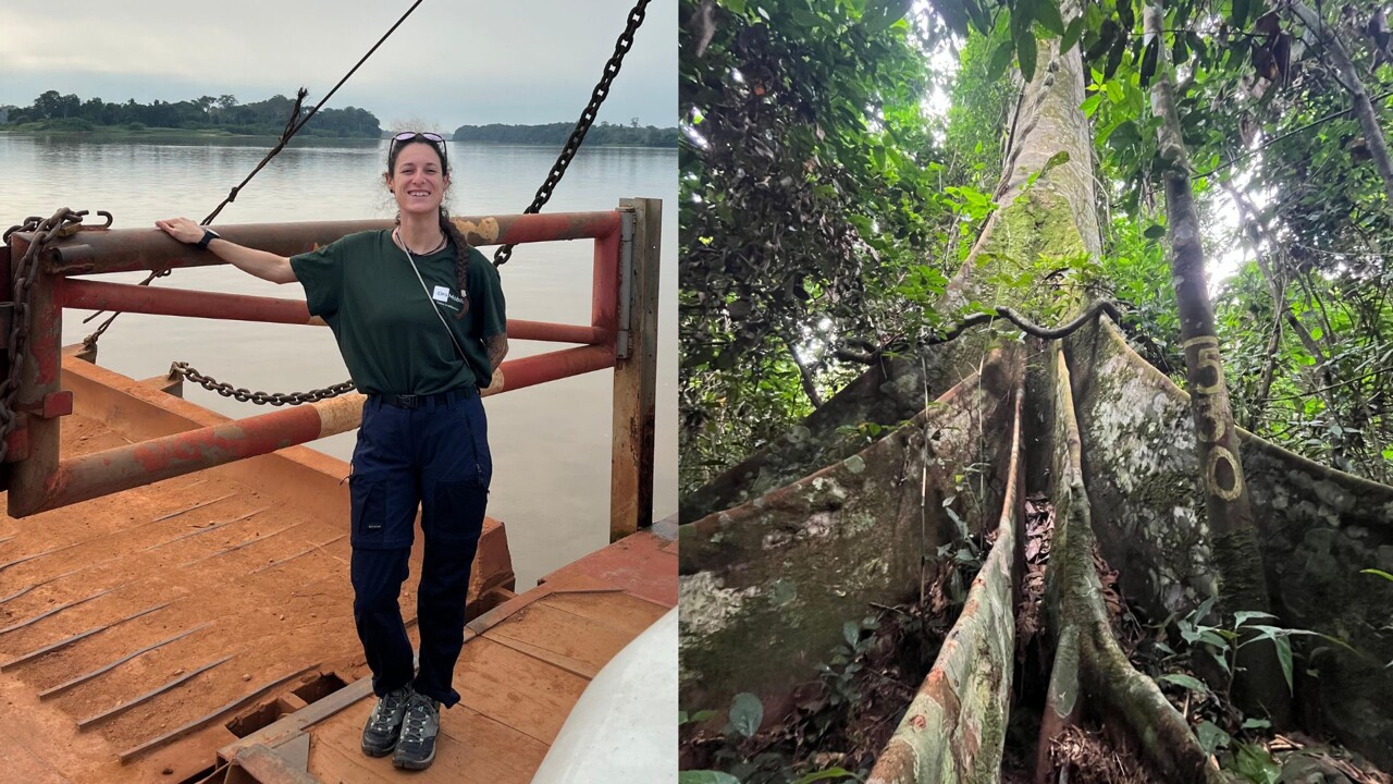 Morgann' est partie au Congo pour lutter contre la déforestation