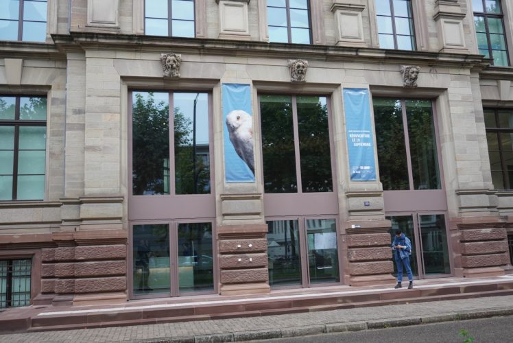 Musée zoologique
