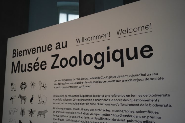 Musée zoologique