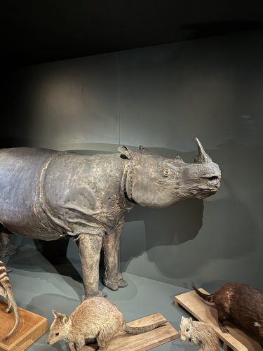 Musée zoologique