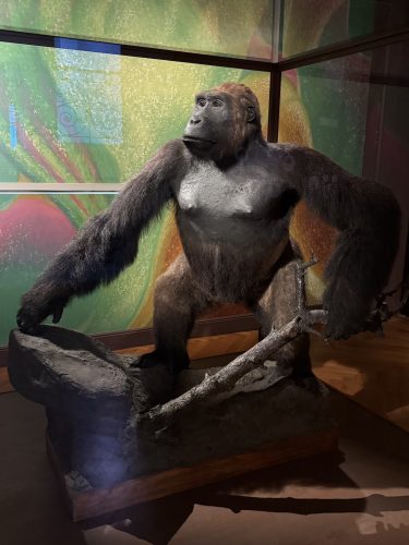 Musée zoologique