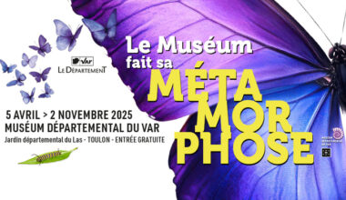 Les artistes investissent le Muséum : projet « Métamorphoses » Muséum départemental du Var Toulon