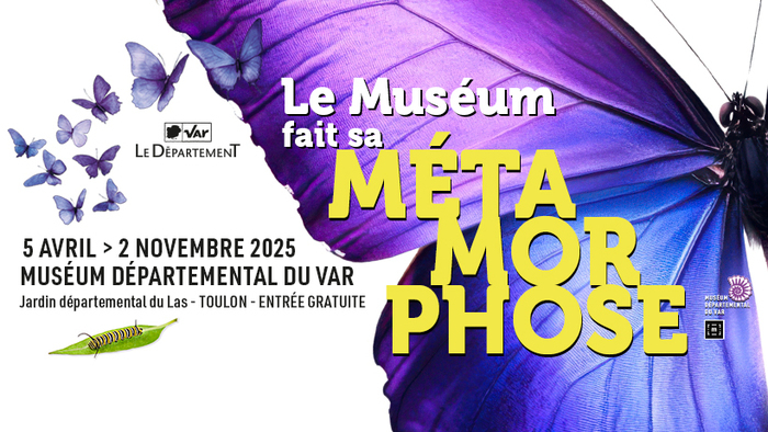 Les artistes investissent le Muséum : projet « Métamorphoses » Muséum départemental du Var Toulon