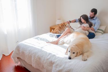 Louis Sarkozy et Natali avec leurs deux chiens, Phasma, un shiba inu, et Hitch, un golden retriever. Natali et Louis Sarkozy sont mariés depuis 2022.