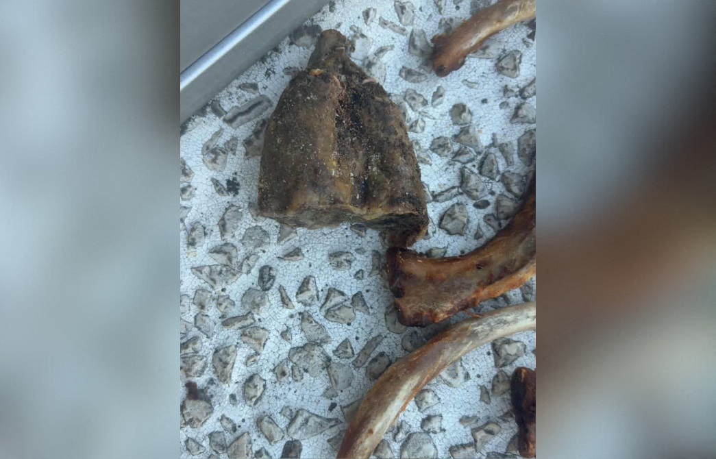 Près de Grenoble. Du porc et des tags racistes retrouvés devant une salle de prière musulmane