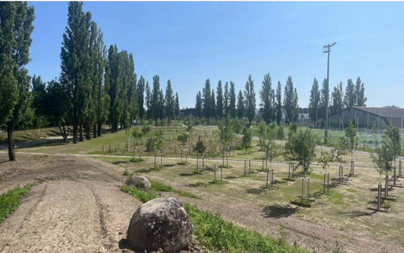 Parc des Romains