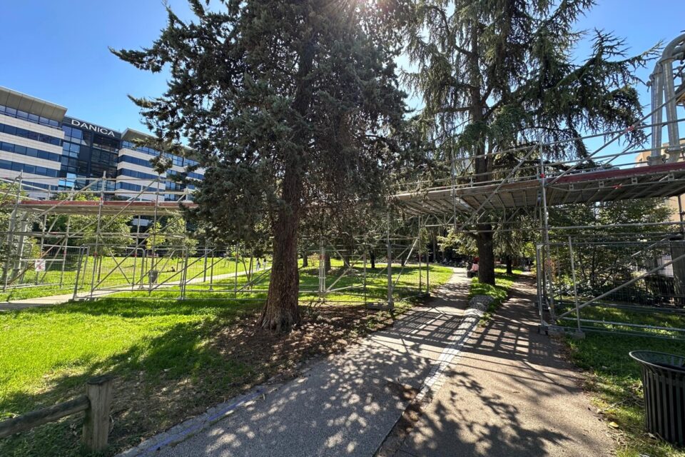 Une énorme structure a été montée dans le jardin public.
