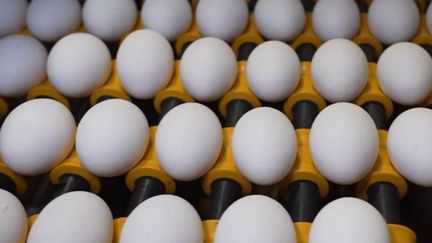 Pénurie d'œufs : pourquoi ce produit dont la consommation bat des records en France vient à manquer dans les rayons ?