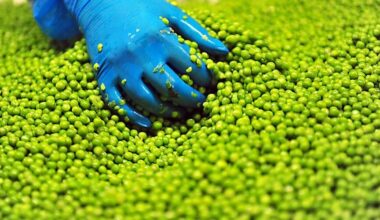 Morceaux de verre et de bois retrouvés: attention, ces légumes surgelés sont rappelés dans toute la France