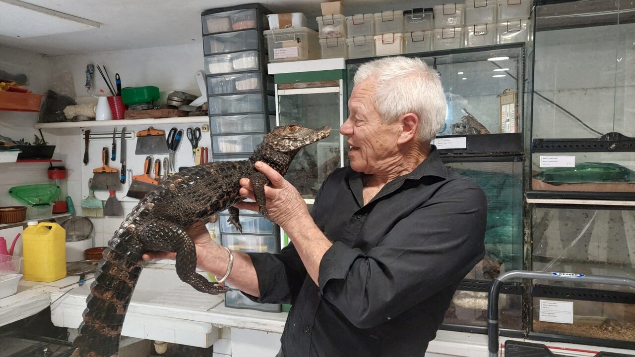 TF1 consacre un reportage à ce passionné "de drôles de bestioles"