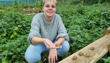 Flavigny-sur-Ozerain. Perrine, ancienne candidate de "L'Amour est dans le pré" met en vente sa ferme