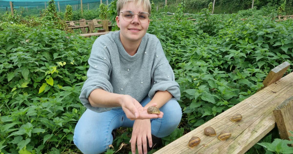 Flavigny-sur-Ozerain. Perrine, ancienne candidate de "L'Amour est dans le pré" met en vente sa ferme
