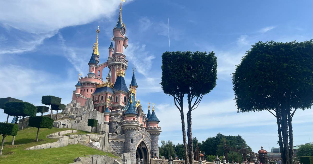 ces entreprises lorraines qui font rayonner le parc d'attractions