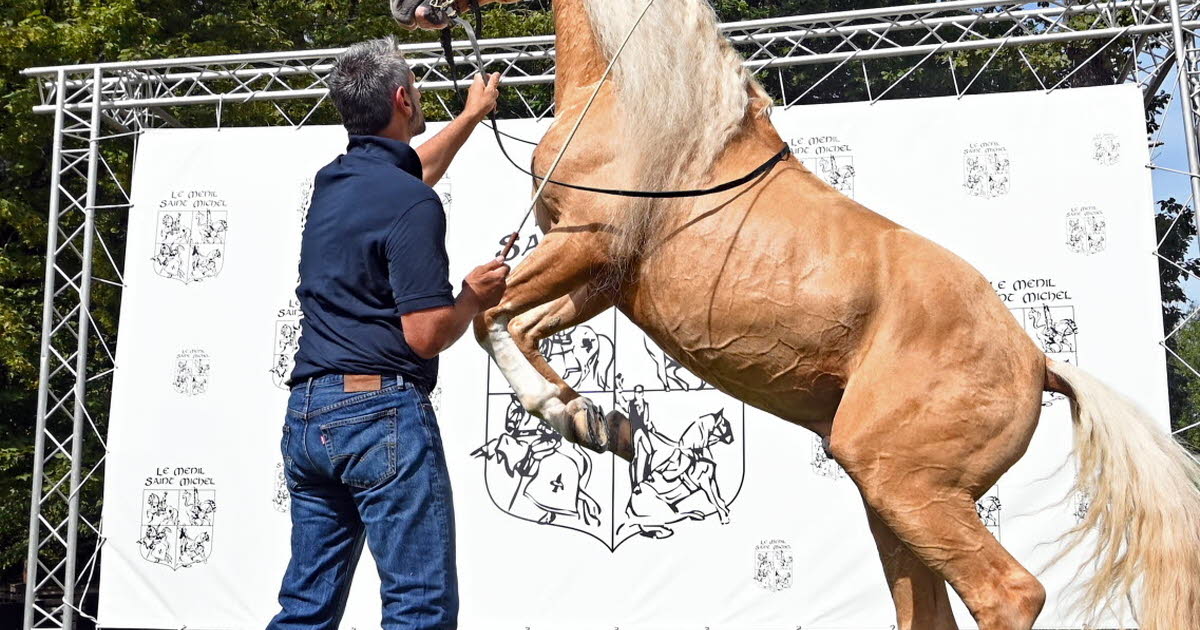 Spectacle équestre La Belle Epoque de l’Art déco