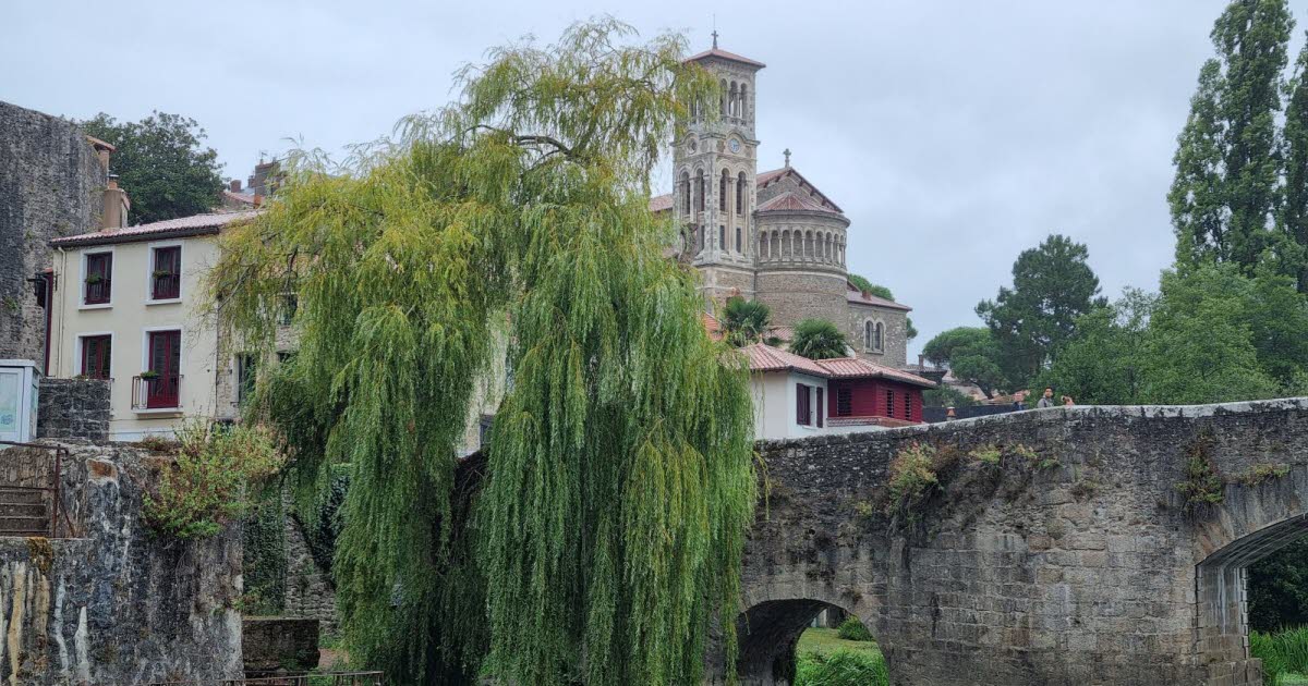 Diaporama. Une journée entre l'histoire de Nantes et la route du muscadet pour les Lecteurs Voyageurs