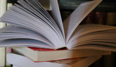 Champforgeuil. La bibliothèque a fait le ménage et vend des livres à prix cassés