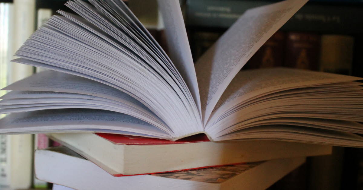Champforgeuil. La bibliothèque a fait le ménage et vend des livres à prix cassés