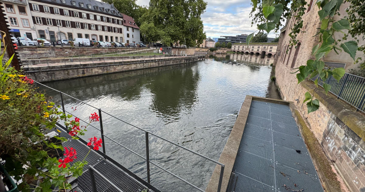 il s’agit du Mulhousien qui s’était jeté à l’eau vendredi 29 août