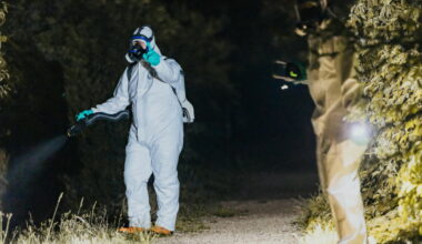 Santé. Chikungunya : un premier cas confirmé en Savoie à Saint-Ours - Le Dauphiné Libéré