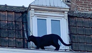 ses anciens propriétaires jugés à Lille ce jeudi
