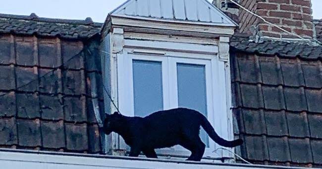 ses anciens propriétaires jugés à Lille ce jeudi