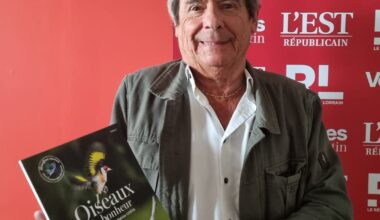 Lorraine. Les oiseaux de bonheur retrouvent leur nid au Livre sur la Place