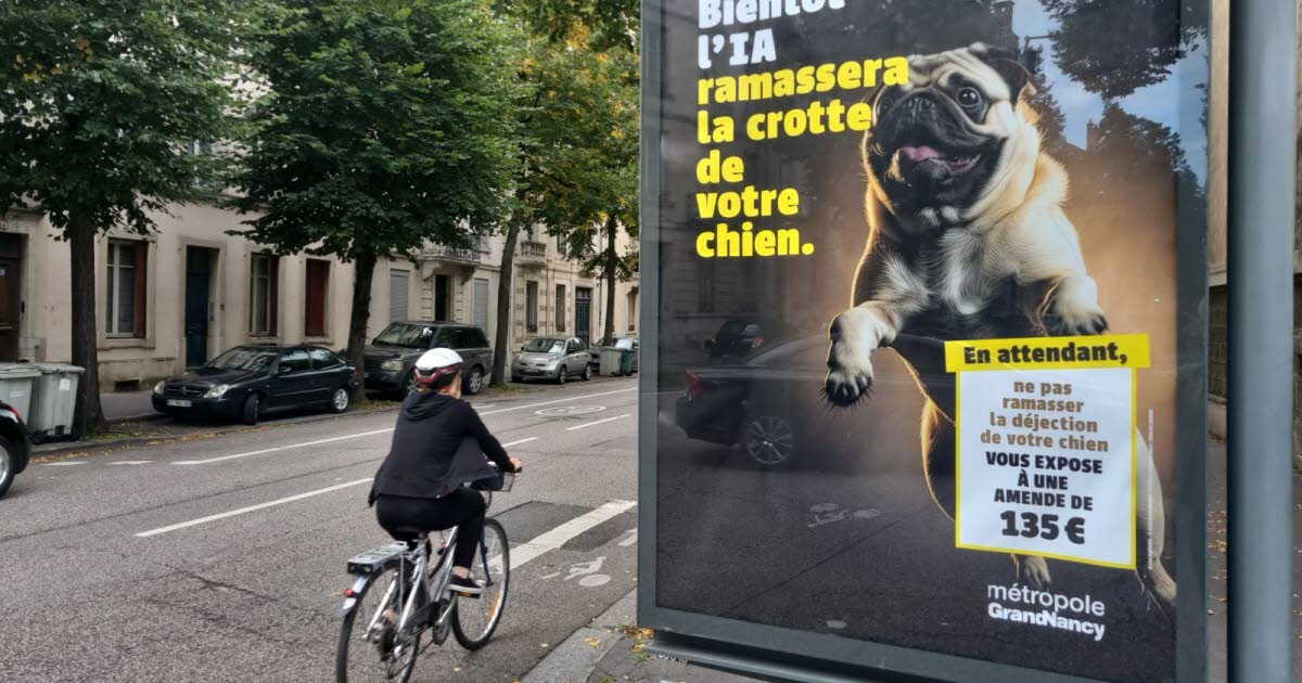 la Métropole met le paquet sur la sensibilisation