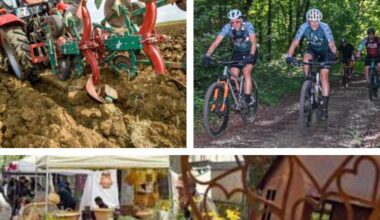 Loisirs. Que faire ce week-end en Lorraine ? Notre sélection pour des idées de sorties