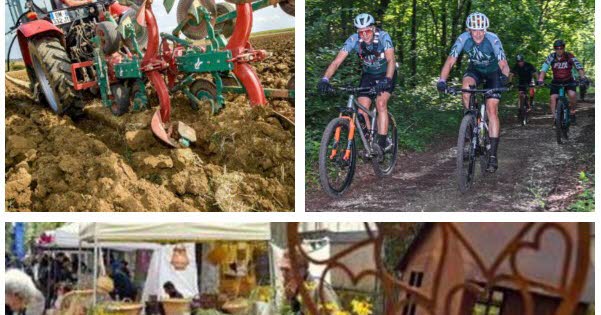 Loisirs. Que faire ce week-end en Lorraine ? Notre sélection pour des idées de sorties