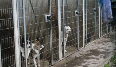 « Ça ne fait qu’aggraver la vétusté de nos locaux »