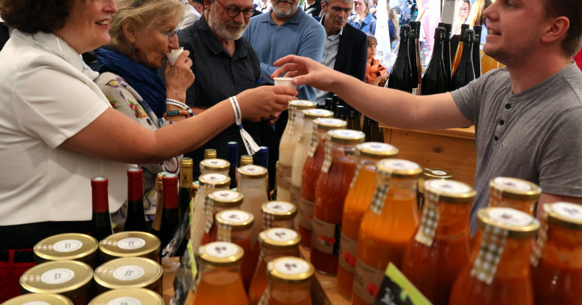 Foire européenne de Strasbourg 2025. Plus de 100 000 personnes attendues, la 93e édition est lancée !