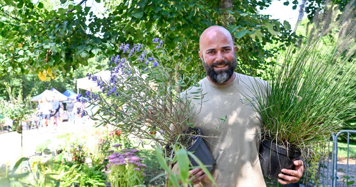 Photos. Les horticulteurs à la fête pour la 20e édition de la Pépinière en Vert
