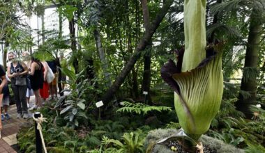 Villers-lès-Nancy. Une soirée entre amis du Jardin botanique Jean-Marie Pelt