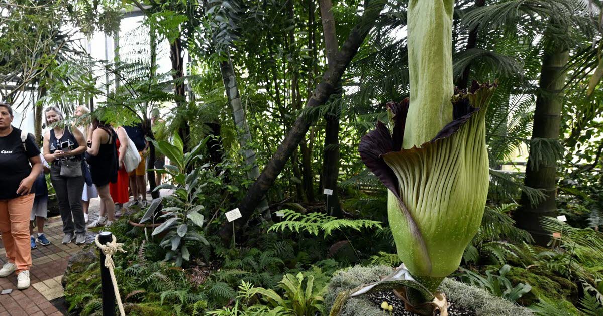 Villers-lès-Nancy. Une soirée entre amis du Jardin botanique Jean-Marie Pelt