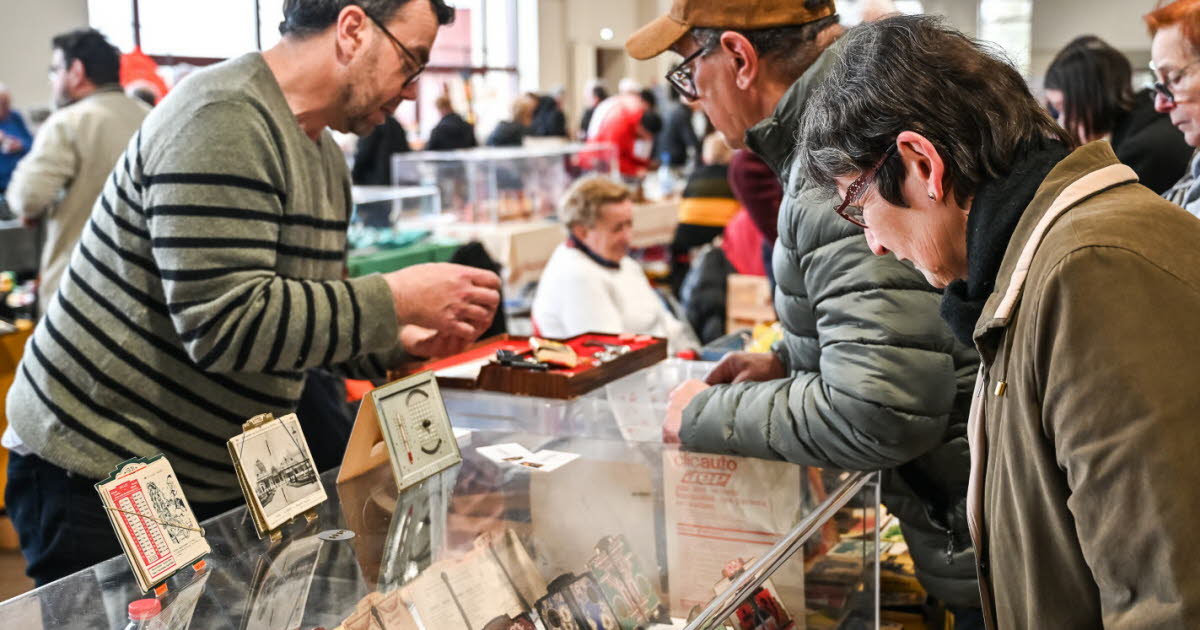 Meurthe-et-Moselle. « La collectionnite est un domaine en perte de vitesse »
