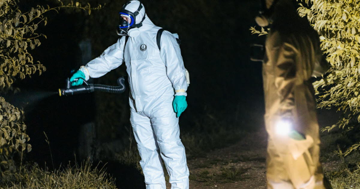 Métropole de Grenoble. Vingt-six cas de chikungunya à Eybens et une réunion publique ce lundi