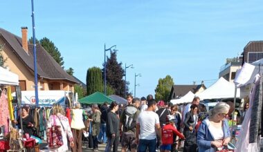 Vendenheim. Encore un succès fou pour la Fête de la patate