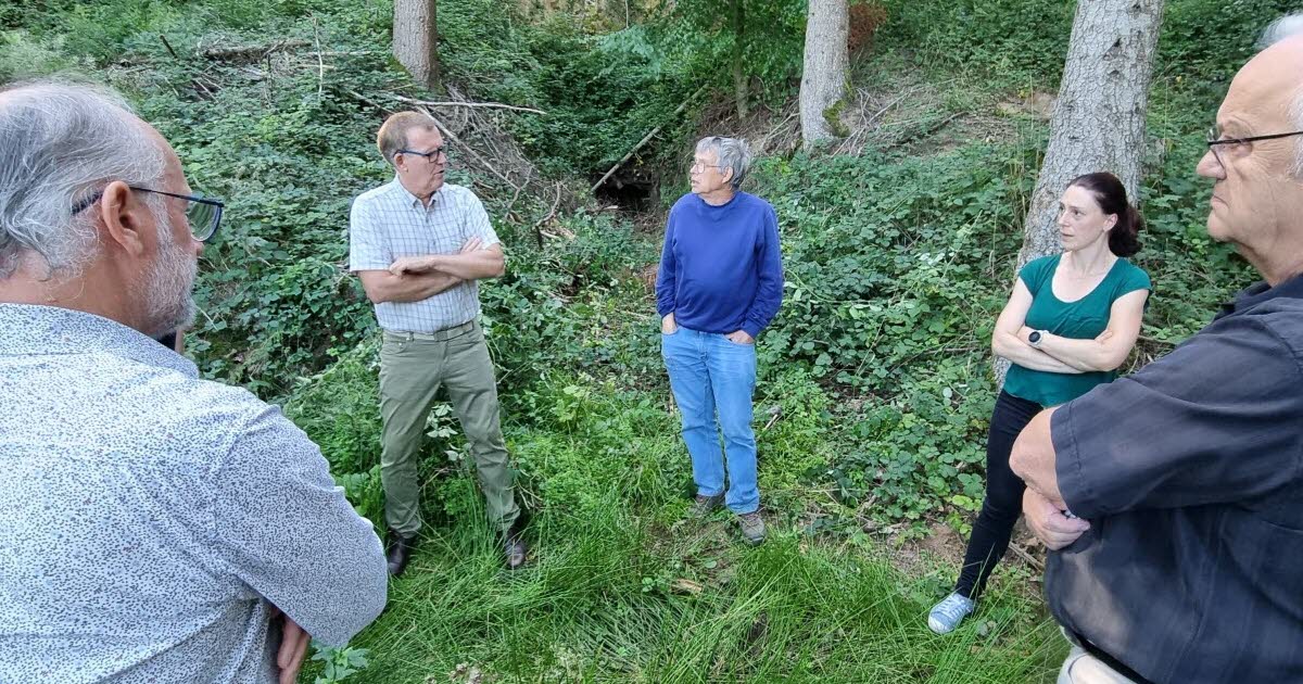 Lautenbach. Rouvrir une cavité minière pour protéger les chauves-souris