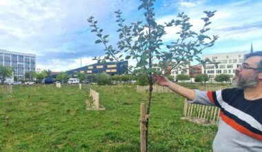 Nancy. Des arbres fruitiers entre le collège, le marché et le centre pour apprentis avec l’atelier de vie de quartier