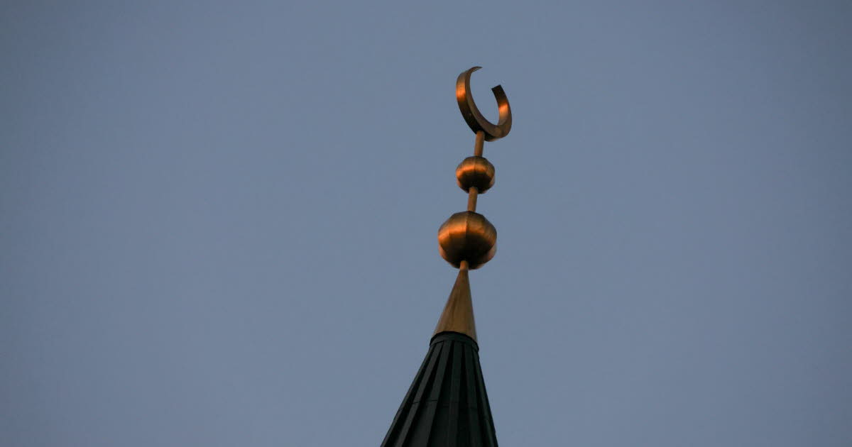 au moins neuf têtes de cochon découvertes devant des mosquées