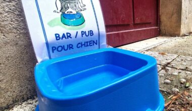 Billet. Les policiers municipaux offrent un rafraîchissement aux chiens en balade