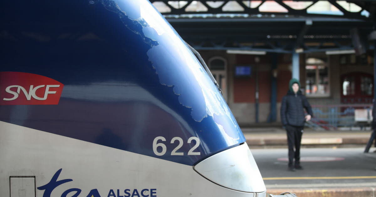 le trafic TER perturbé dans la région