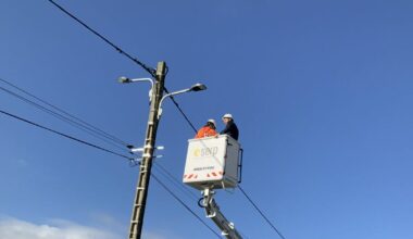 des lumières LED pour un avenir plus durable