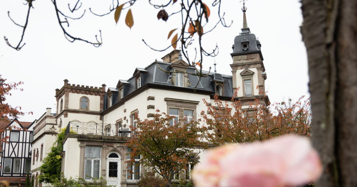 Ostwald. Le mobilier du Château de l’Ile est mis aux enchères