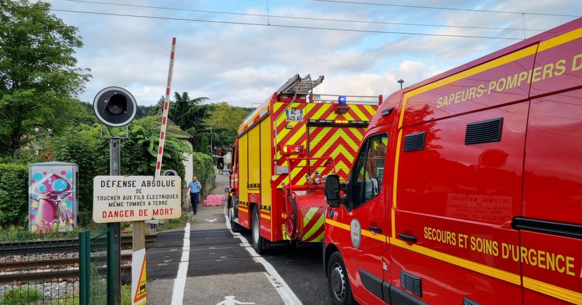 Isère. Une femme meurt percutée par un train à Domarin