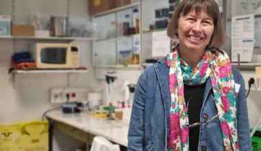 Lyon. Pourquoi certains virus émergents deviennent-ils si virulents ? Des chercheurs lyonnais planchent sur le sujet