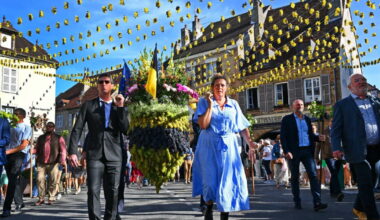 “Les plus belles grappes d’Arbois” par Philippe Trias