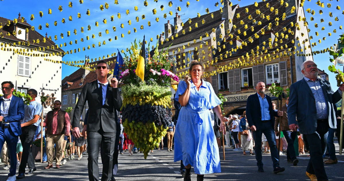 “Les plus belles grappes d’Arbois” par Philippe Trias